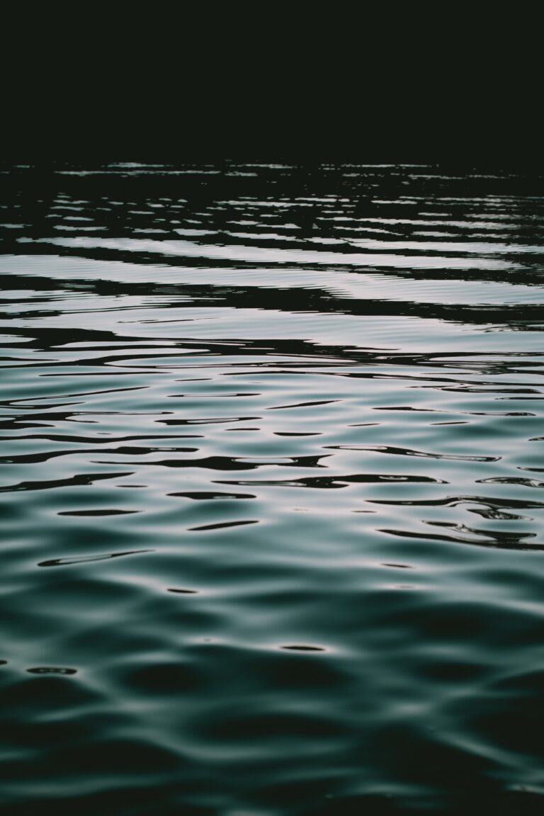 Exploring the Enigmatic World of Black Water.