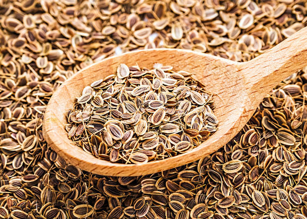 Today, we'll look at the benefits of using three drops of Anethum graveolens L. (dill) seed oil.